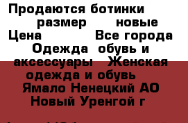 Продаются ботинки Baldinini, размер 37,5 новые › Цена ­ 7 000 - Все города Одежда, обувь и аксессуары » Женская одежда и обувь   . Ямало-Ненецкий АО,Новый Уренгой г.